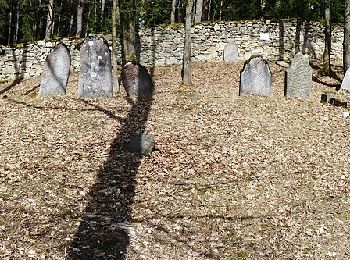 Excursión A pie Hradiště - Naučná stezka údolím Hradišťského potoka - Photo