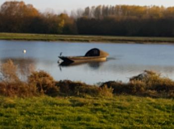 Tour Wandern Bouchemaine - Bouchemaine, abbaye de La Baumette  - Photo