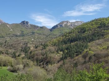 Tour Wandern Châteaufort - châteaufort St gêniez ravin de basse terre - Photo