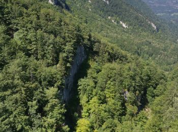 Excursión Senderismo Villard-Saint-Sauveur - 39 Villard St Sauveur - cascades de. flumen-saut du chien - Photo