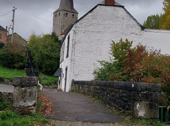 Randonnée Marche Mettet - Biesme 141022 - Photo