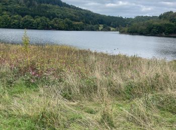 Tocht Stappen Simmerath - Rursee 19 Km - Photo