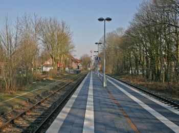 Percorso A piedi Dorsten - Große Heide Rundweg A2 - Photo