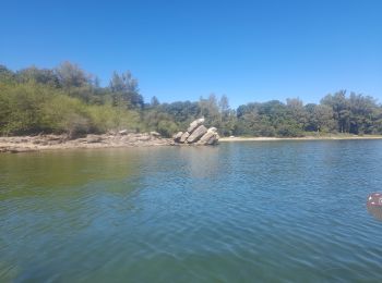 Excursión Piragüismo Canet-de-Salars - lac de pareloup cote ouest - Photo