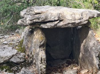 Trail Walking Orgnac-l'Aven - plaine de ronze - Photo