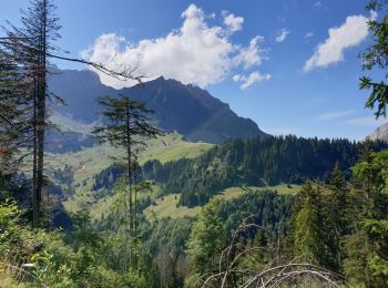 Excursión Bici de montaña La Giettaz - la giettaz - Photo