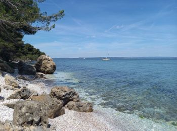 Tour Wandern Martigues - Parc de Figuerolles 26.5.24 - Photo