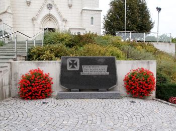 Tour Zu Fuß Gemeinde Müllendorf - Müllendorf - Beim Juden - Photo