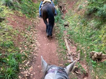 Tour Reiten Saulcy-sur-Meurthe - Taintrux croix st georges delphine  - Photo