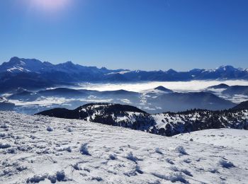 Randonnée Marche La Motte-d'Aveillans - Col du Sénépy et Pierre Plantée depuis les Signaraux - Photo