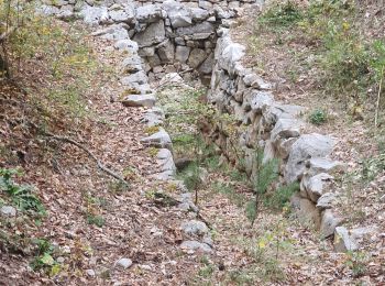 Tocht Stappen Comps-sur-Artuby - 2023-10-17 Le Fayet  - Photo