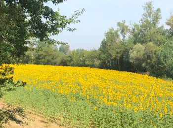 Randonnée V.T.C. Labastide-d'Anjou - Labastide d Anjou - apres gardouch - Photo