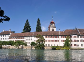 Percorso A piedi Laufen-Uhwiesen - Nohlbrücke - Wehrbrücke Rheinau - Photo