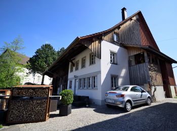 Randonnée A pied Volketswil - Wangen - Illnau - Photo
