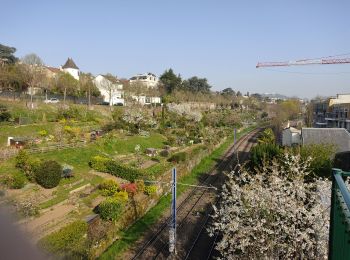 Trail Walking Boulogne-Billancourt - Les coteaux de St Cloud - Photo