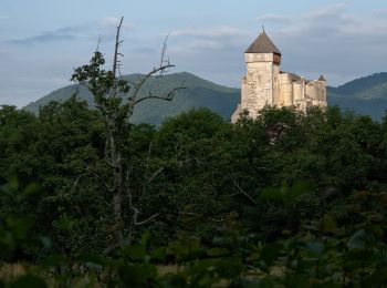 Percorso A piedi Saint-Bertrand-de-Comminges - Saint-Bertrand-de-Comminges : au coeur du Comminges - Photo