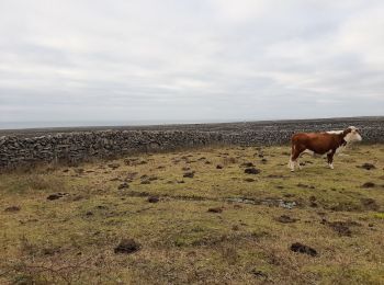 Trail Walking Conamara Municipal District - Tour 12 km à Inishmaer - Photo