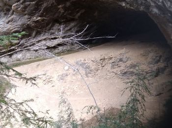 Randonnée Marche Oyonnax - Bretouze Pointe de Biez Le Fouget  - Photo