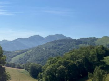 Tour Wandern Pouzac - Camp César Pouzac - Photo