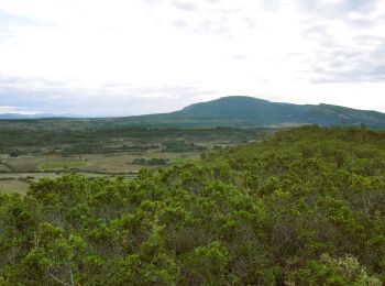 Trail Walking Montbrun-des-Corbières - MONTBRUN DES CORBIERES rocher du renard - Photo