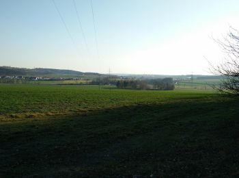 Tour Zu Fuß Wenzenbach - O 27 Maad - Irlbach (Grünes Dreieck) - Photo