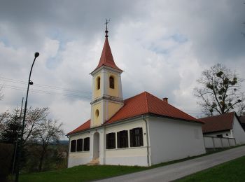 Excursión A pie Gemeinde Wiesfleck - Wanderstrecke gelbe Markierung - Photo