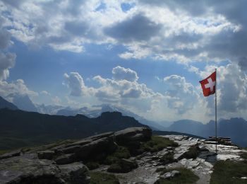 Tocht Te voet Glarus Süd - Richetlipass - Leglerhütte SAC - Photo