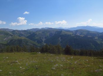 Tocht Stappen Péone - Tête du Garnier et lac de Beuil - Photo