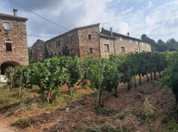 Tour Wandern Faugères - Faugères Payzac 13km - Photo