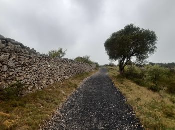 Trail Walking Leucate - mon sentier des pêcheurs  - Photo