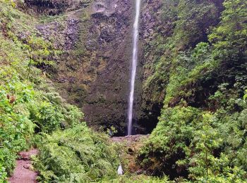 Trail Walking Santana - caldero verde - Photo