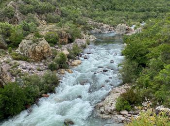 Randonnée Marche Évisa - Corse 2023: Refuge de Puscaghia - Tuvarelli - Photo