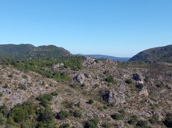 Excursión Senderismo Montpeyroux - Mont St Baudille - Photo