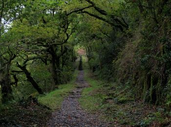 Randonnée A pied  - Quarryman's Path - Photo