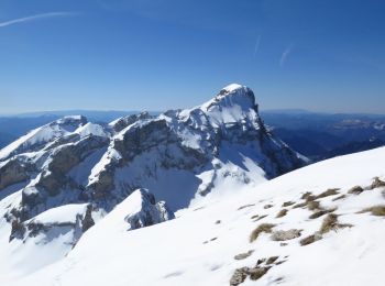 Randonnée Ski de randonnée Le Dévoluy - Tête de l'Aupet à ski - Photo