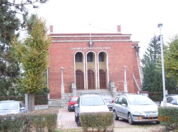 Tour Zu Fuß Steinamanger - Szombathely-Parkerdő K4 - Photo