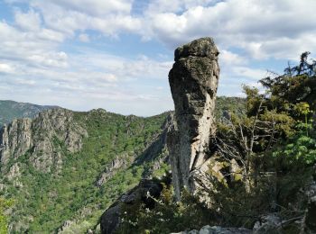 Percorso Marcia Prévenchères - La Garde Guerin - Photo