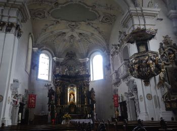 Tocht Te voet Schwäbisch Gmünd - rotes Kreuz Wäschenbeuren-Rechberg-Kaltes Feld SAV - Photo