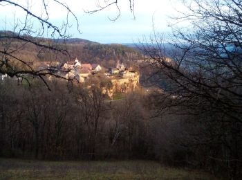 Excursión Senderismo Ornans - Château d'Ornans - Photo