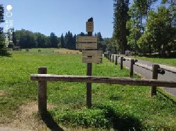 Tocht Stappen Annecy - A la découverte des Chalets de Barbenoire - Photo