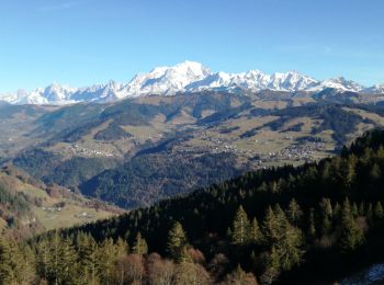 Tocht Stappen Ugine - PRAZ VECHIN depuis La Penne - Photo