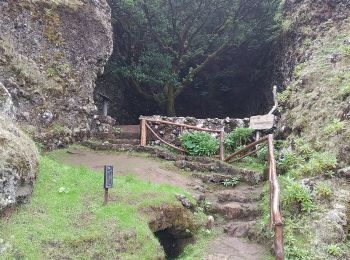 Tocht Te voet Valverde - San Andrés - Árbol Santo - Las Montañetas - Photo