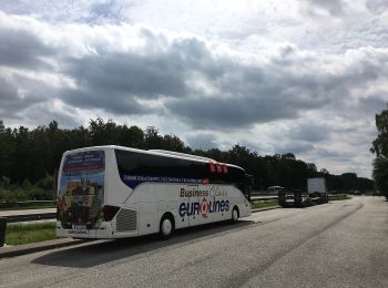 Excursión A pie Großhansdorf - Vom Beimoorwald zum Gölmer Moor - Photo