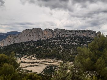 Randonnée Marche Buis-les-Baronnies - Tour du rocher St Julien - Photo