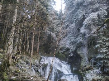 Tocht Stappen Fontaine - Le Vallon des Forges par la ferme Durand et le barrage d'Engins - Photo