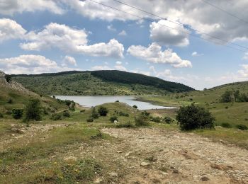 Tocht Te voet Randazzo - Monte Trearie - Photo