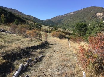 Tour Wandern Sigottier - 2019 10 13 - Col de Saumane - Photo