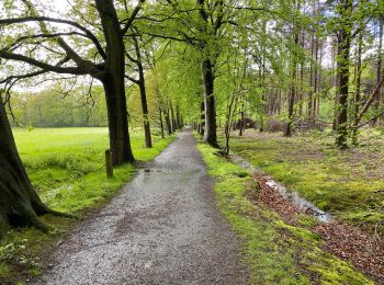 Trail Walking Maldegem - Kleit 19,5 km - Photo