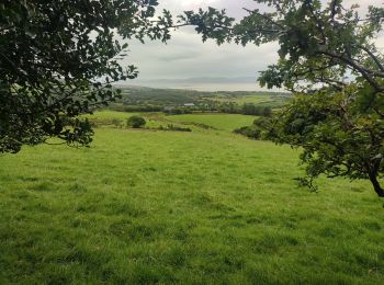 Trail Walking West Cork - Hungry Hill - Photo