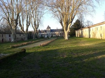 Tour Wandern Gujan-Mestras - tour du parc ornithologique du technicien  - Photo